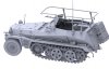 Das Werk DW16019 Sd.Kfz. 250/3 Ausf. A Leichter Funkpanzerwagen / Sonderkraftfahrzeug 250 1/16